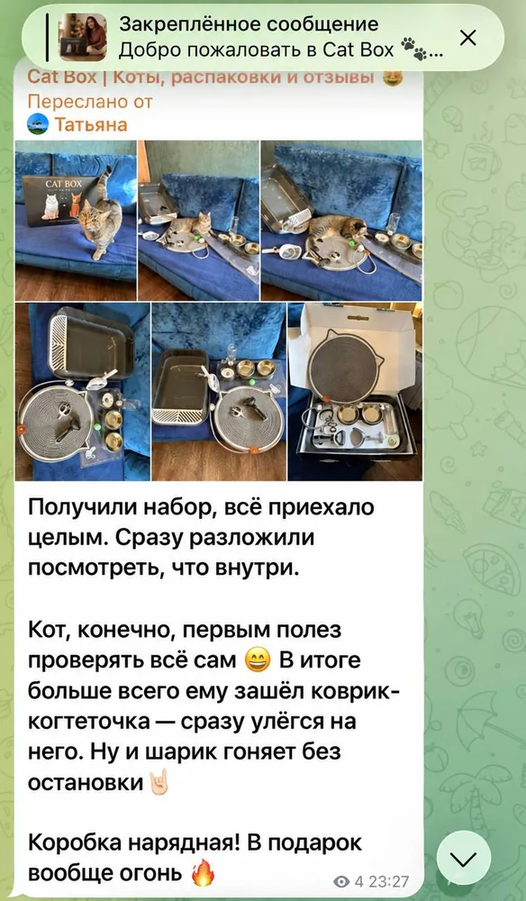 Отзыв из Telegram: Танюха Гуд — получили набор, кот первым полез проверять, больше всего понравился коврик-когтеточка