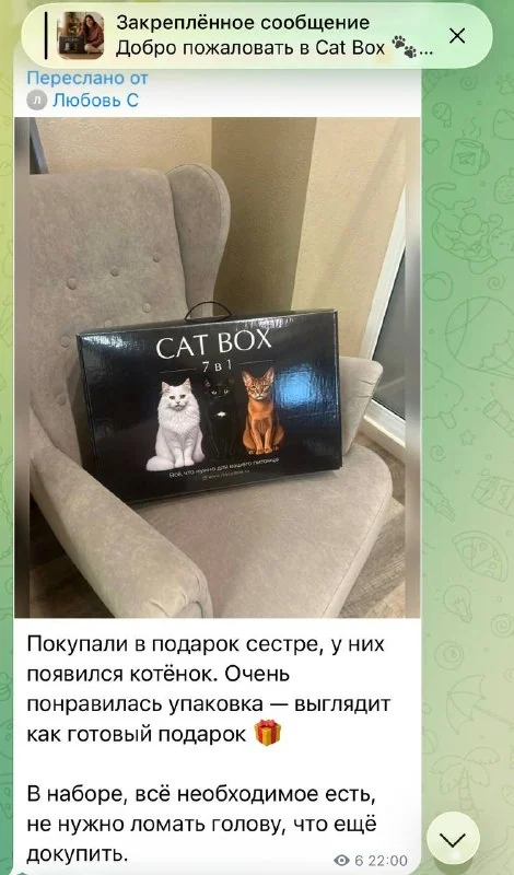 Отзыв из Telegram: Анастасия — отличный набор для котёнка, лоток большой, коврик под миску спасает пол