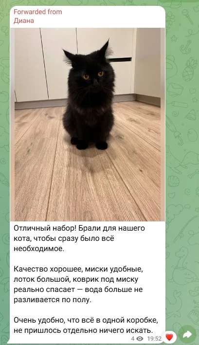 Отзыв из Telegram: Екатерина — дарили сестре на новоселье, упаковка как готовый подарок, всё пришло целым