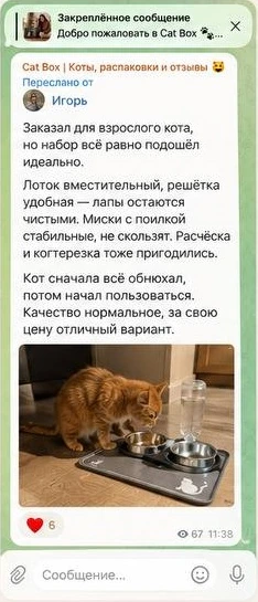 Отзыв из Telegram: Игорь — заказал для взрослого кота, лоток вместительный, миски стабильные