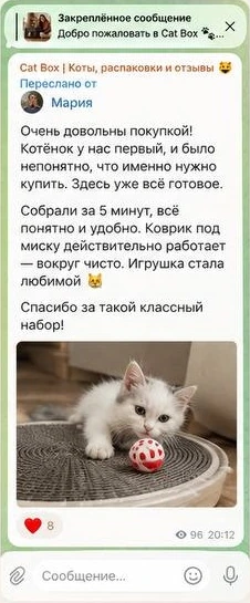 Отзыв из Telegram: Мария — котёнок первый, собрали за 5 минут, коврик под миску работает, игрушка стала любимой